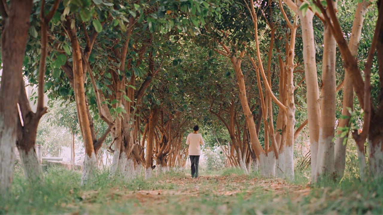 Anantvan Ranthambore By Shrigo Hotels Khilchīpur Esterno foto